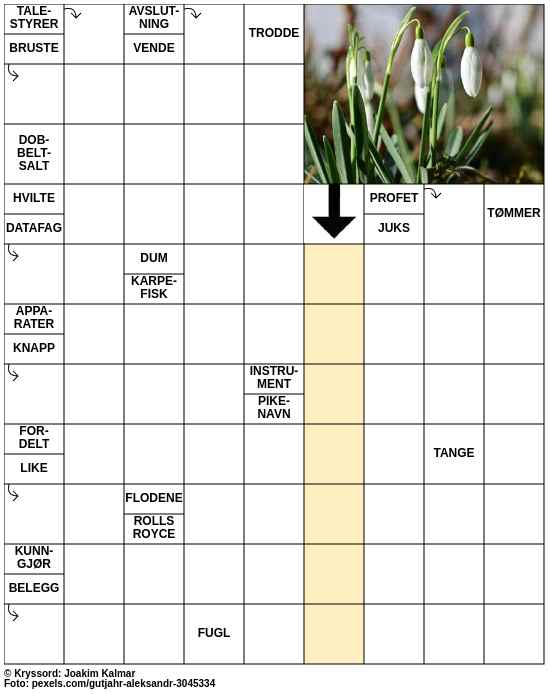 Dagens kryssord – 7. Mars - 2025