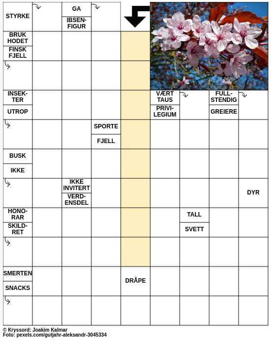 Dagens kryssord – 8. Mars - 2025