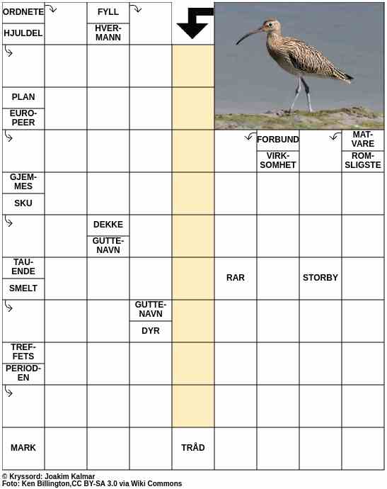 Dagens kryssord – 11. Mars - 2025