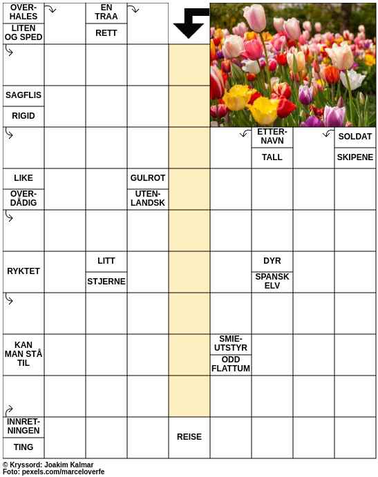 Dagens kryssord – 12. Mars - 2025