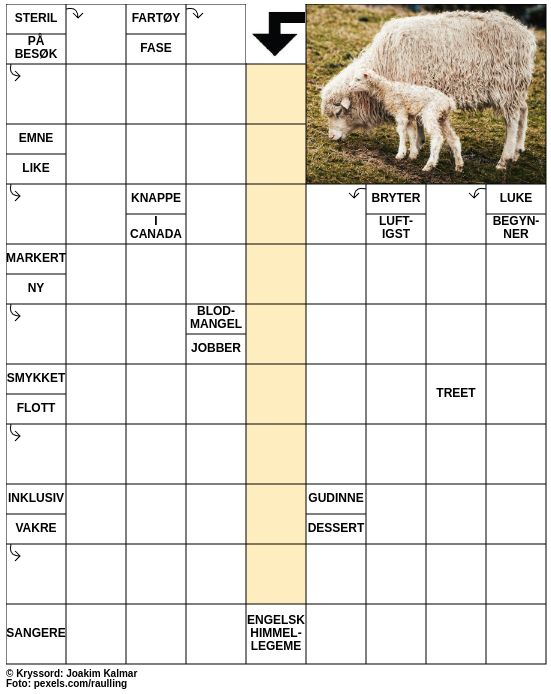 Dagens kryssord – 22. Mars - 2025