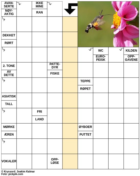 Dagens kryssord – 23. Mars - 2025