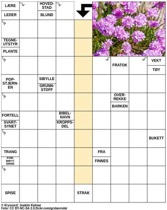Dagens kryssord – 7. April - 2025