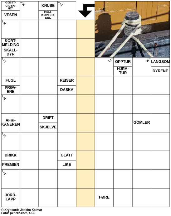 Dagens kryssord – 1. Juni - 2025