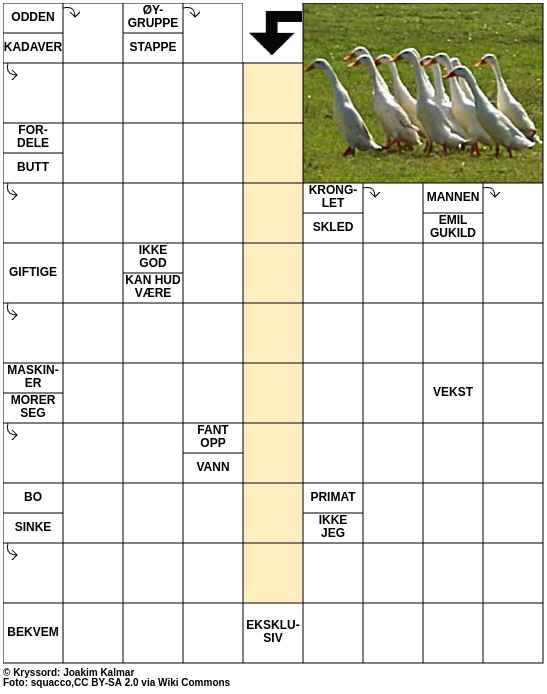 Dagens kryssord – 29. Mai - 2025