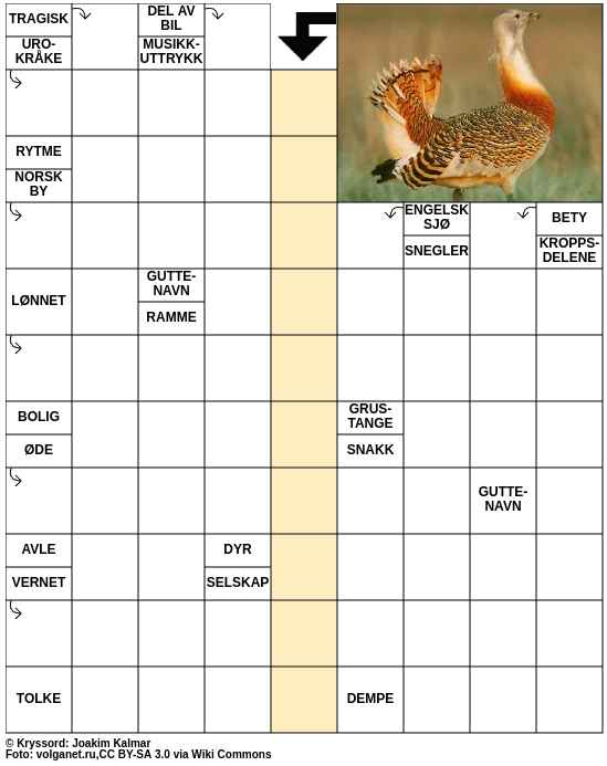 Dagens kryssord – 31. Mai - 2025