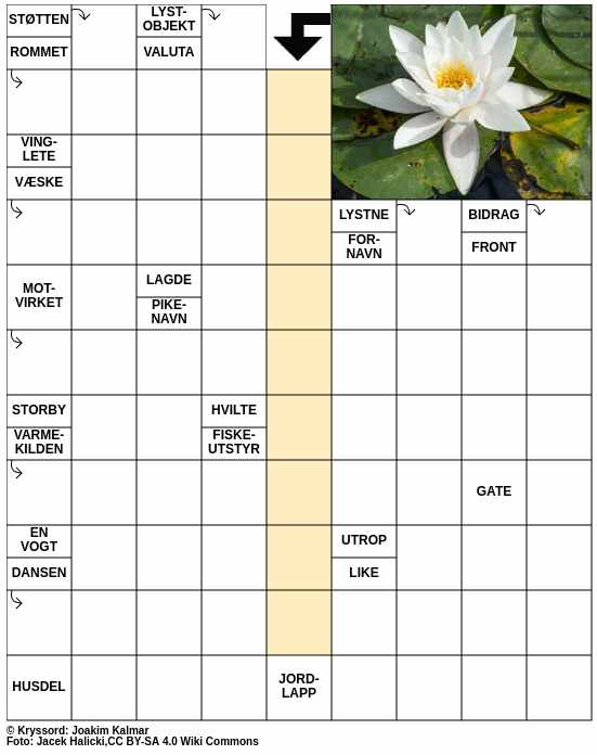 Dagens kryssord – 1. Juli - 2025