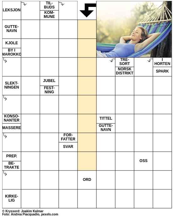 Dagens kryssord – 3. Juni - 2025