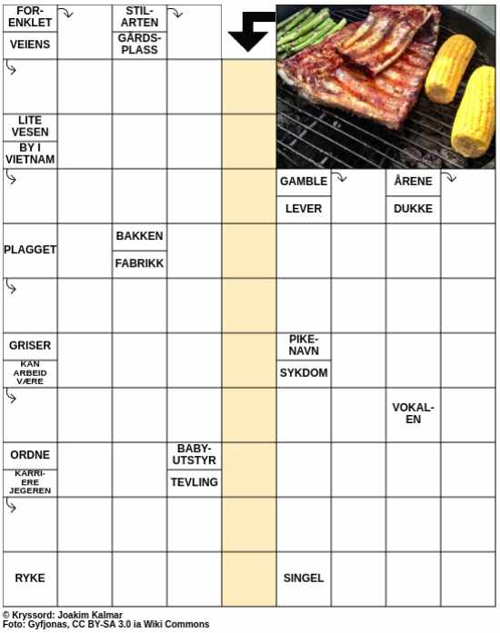 Dagens kryssord – 11. Juli - 2025