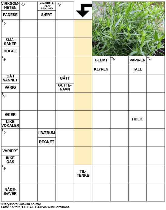 Dagens kryssord – 14. Juni - 2025