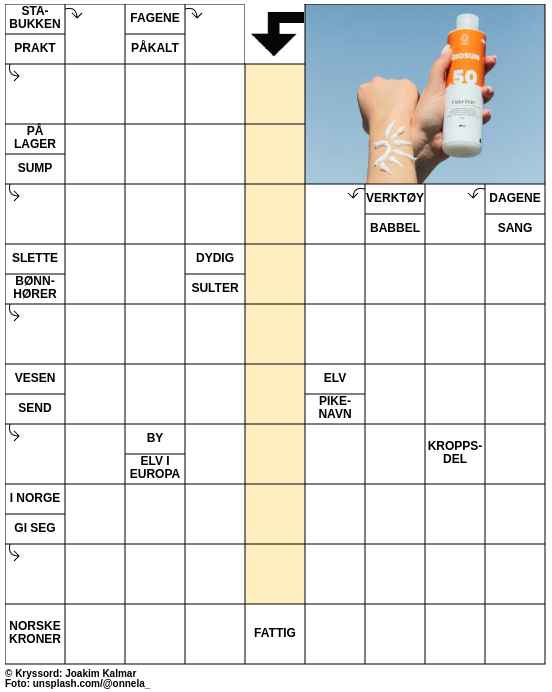 Dagens kryssord – 17. Juni - 2025