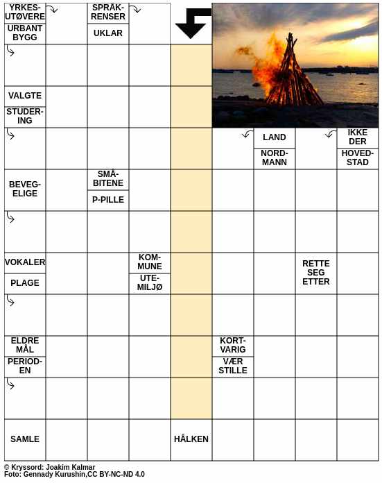 Dagens kryssord – 30. Juni - 2025