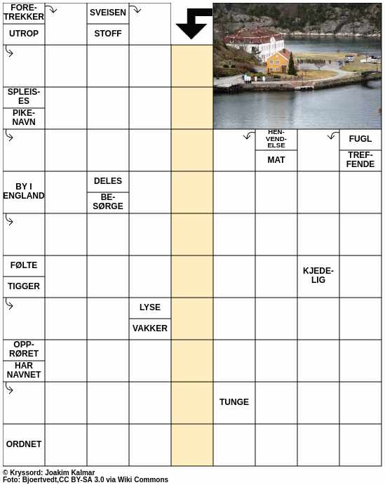 Dagens kryssord – 13. Juli - 2025