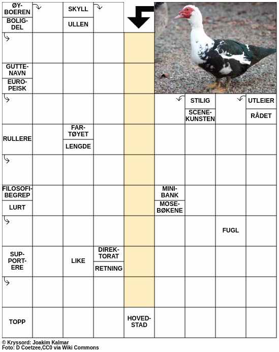 Dagens kryssord – 1. September - 2025
