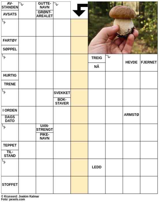Dagens kryssord – 7. August - 2025