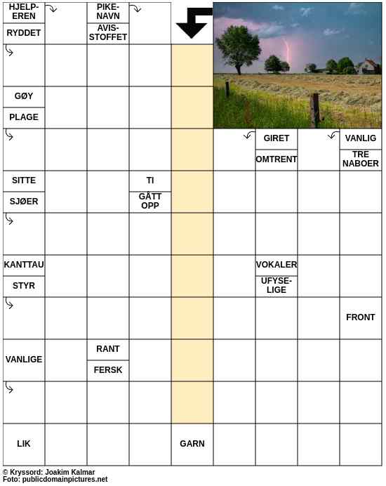 Dagens kryssord – 8. August - 2025