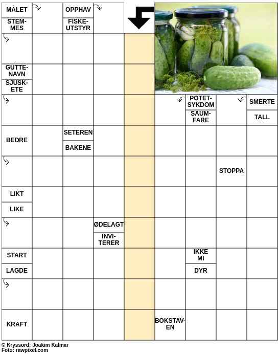 Dagens kryssord – 18. August - 2025