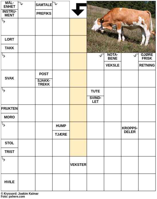 Dagens kryssord – 24. August - 2025