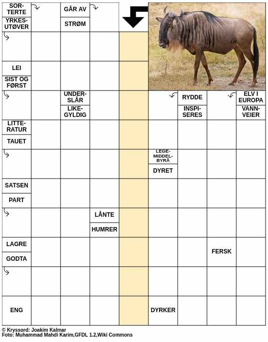 Dagens kryssord – 31. August - 2025