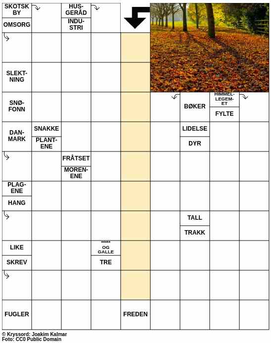 Dagens kryssord – 7. September - 2025