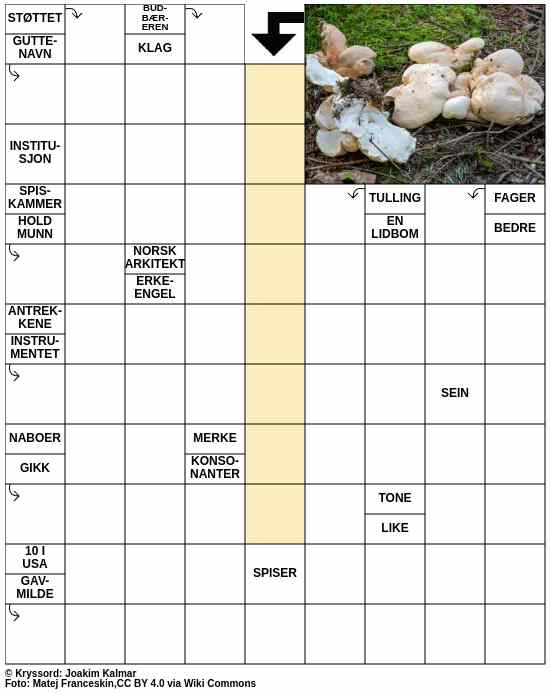 Dagens kryssord – 11. September - 2025