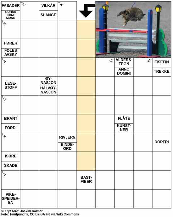 Dagens kryssord – 13. September - 2025