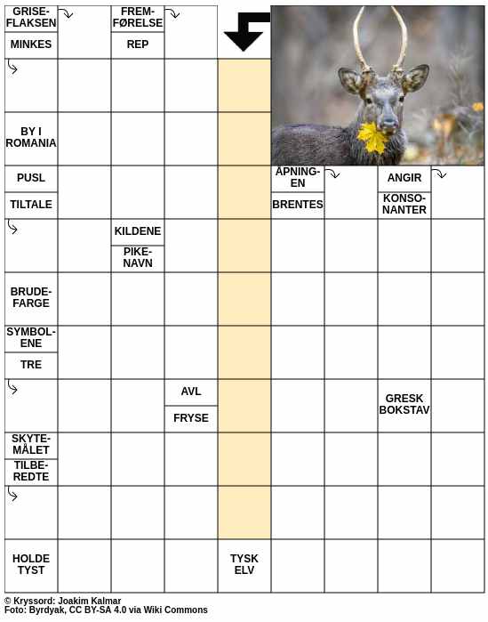 Dagens kryssord – 2. Oktober - 2025