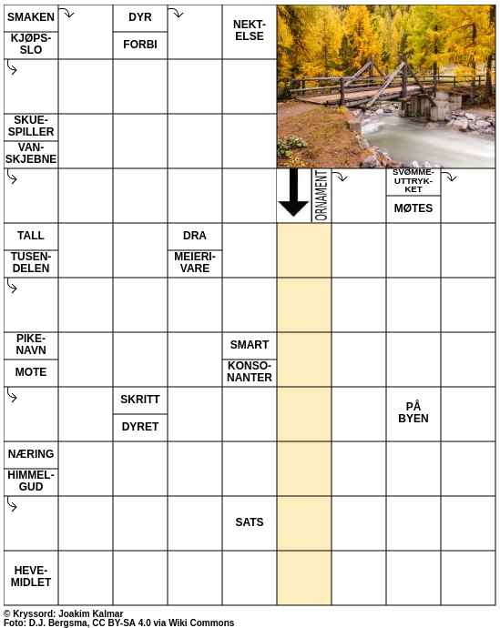 Dagens kryssord – 10. Oktober - 2025