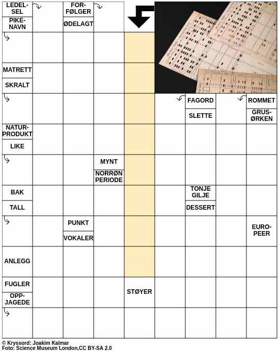 Dagens kryssord – 11. November - 2025