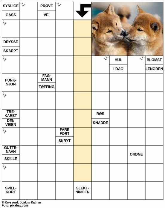 Dagens kryssord – 10. Januar - 2026