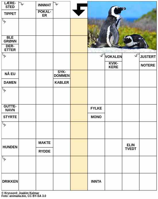 Dagens kryssord – 11. Januar - 2026