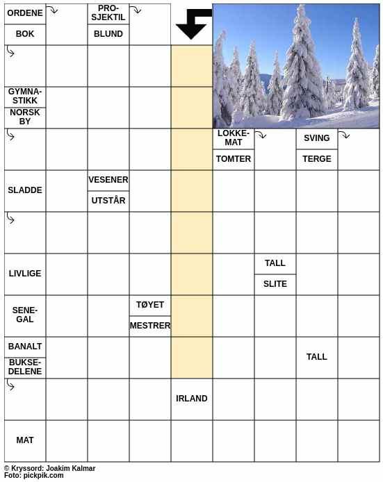 Dagens kryssord – 12. Januar - 2026