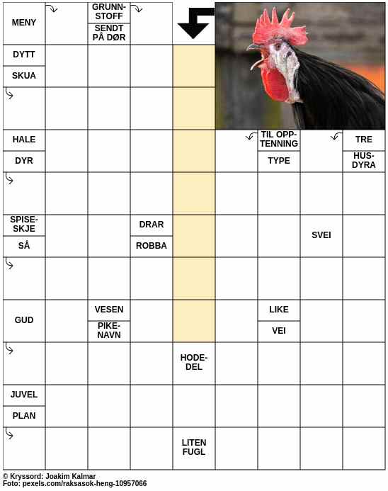 Dagens kryssord – 14. Januar - 2026
