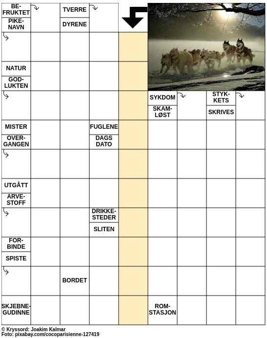 Dagens kryssord – 20. Januar - 2026