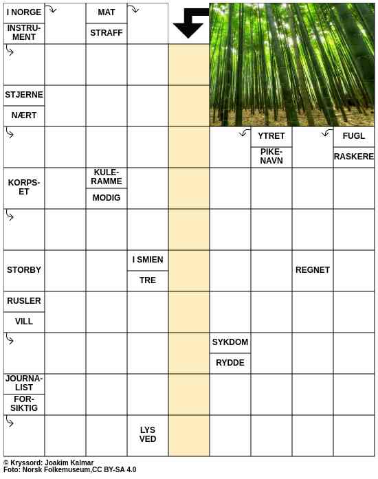Dagens kryssord – 31. Januar - 2026