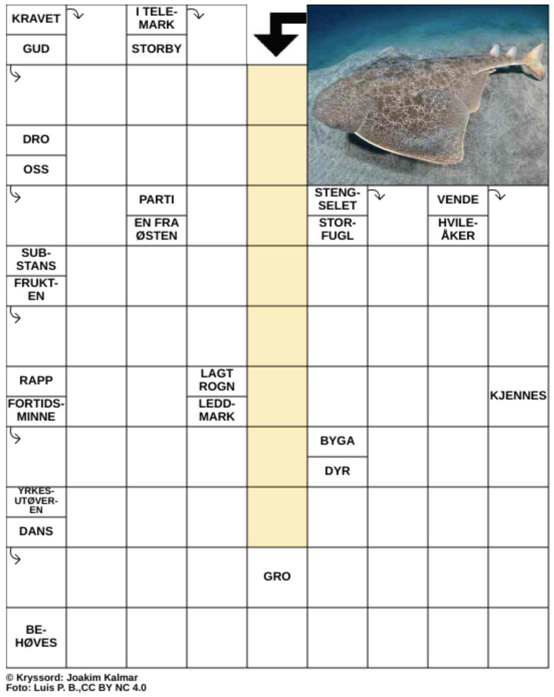 Dagens kryssord – 7. Februar - 2026