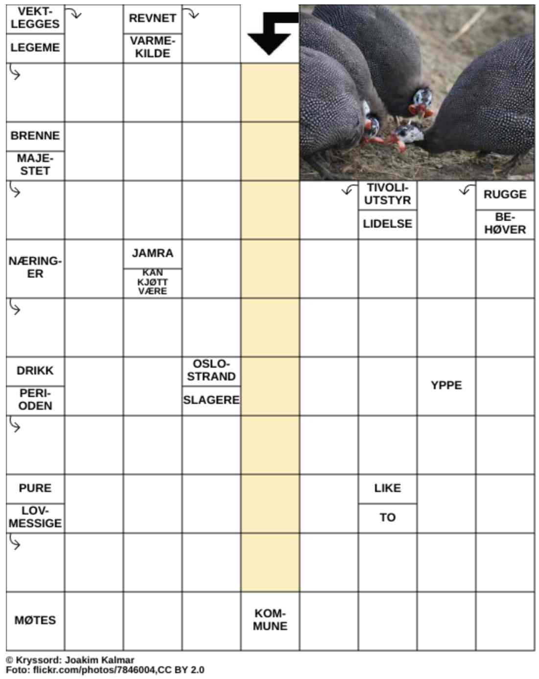 Dagens kryssord – 11. Februar - 2026