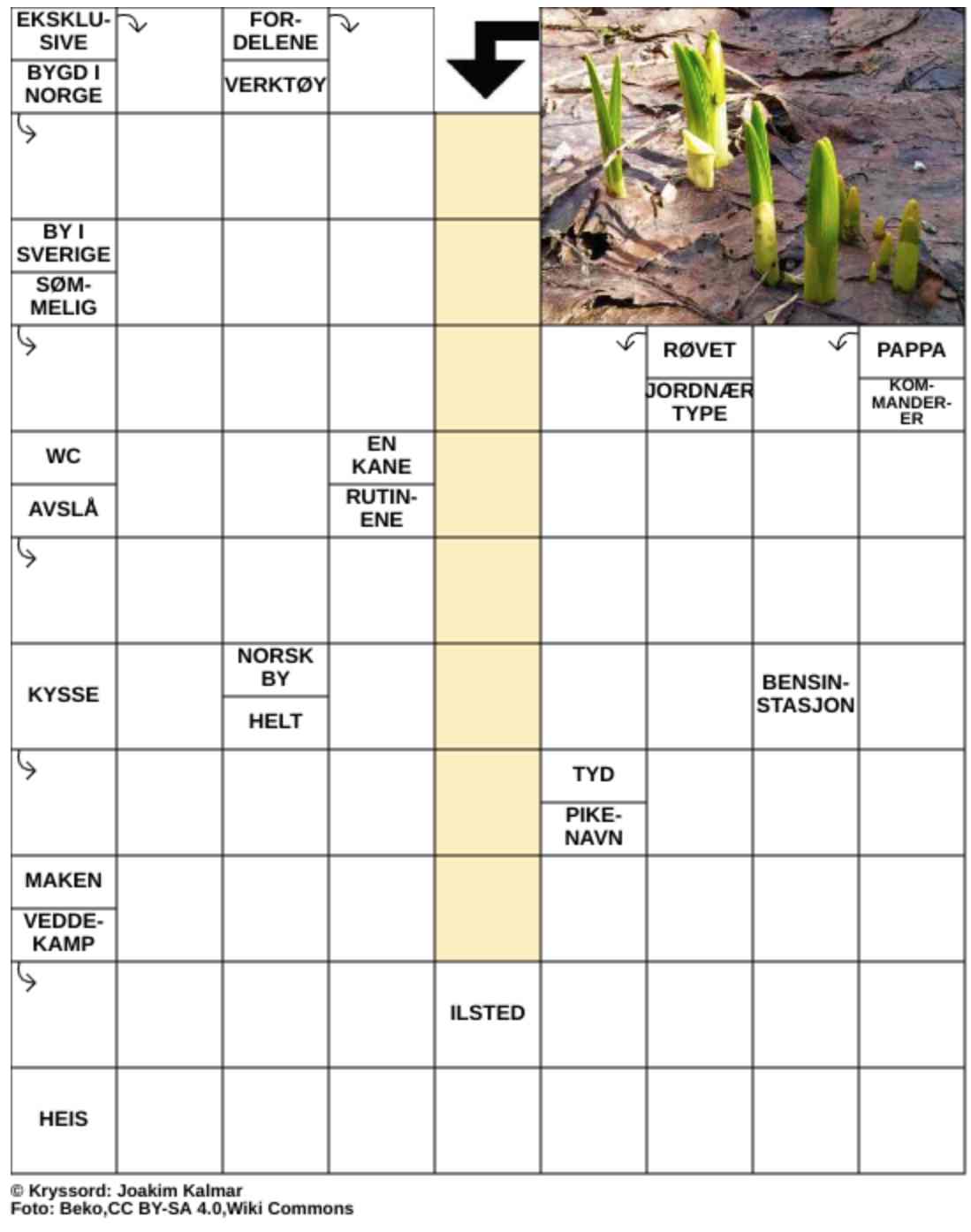 Dagens kryssord – 26. Februar - 2026