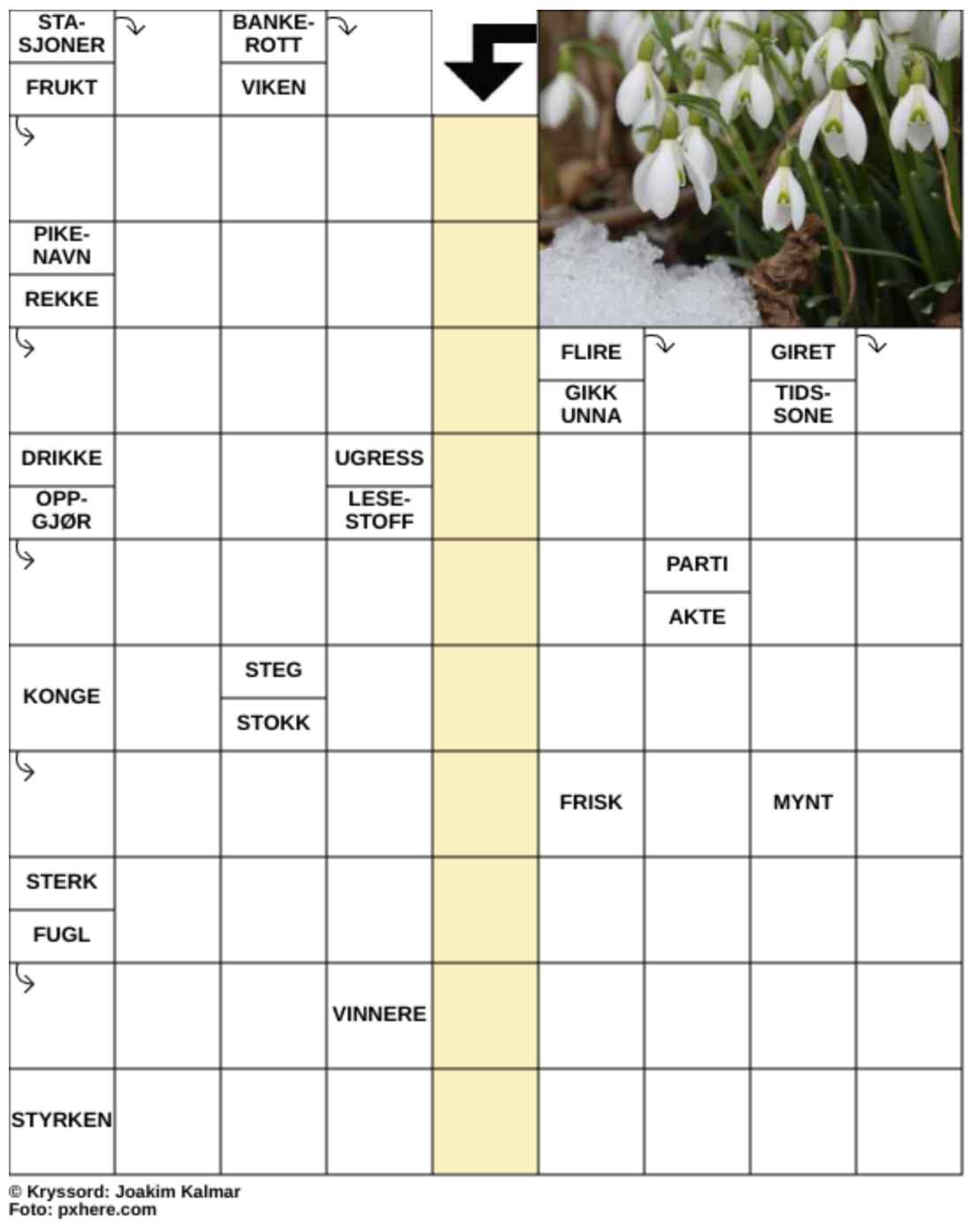 Dagens kryssord – 8. Mars - 2026