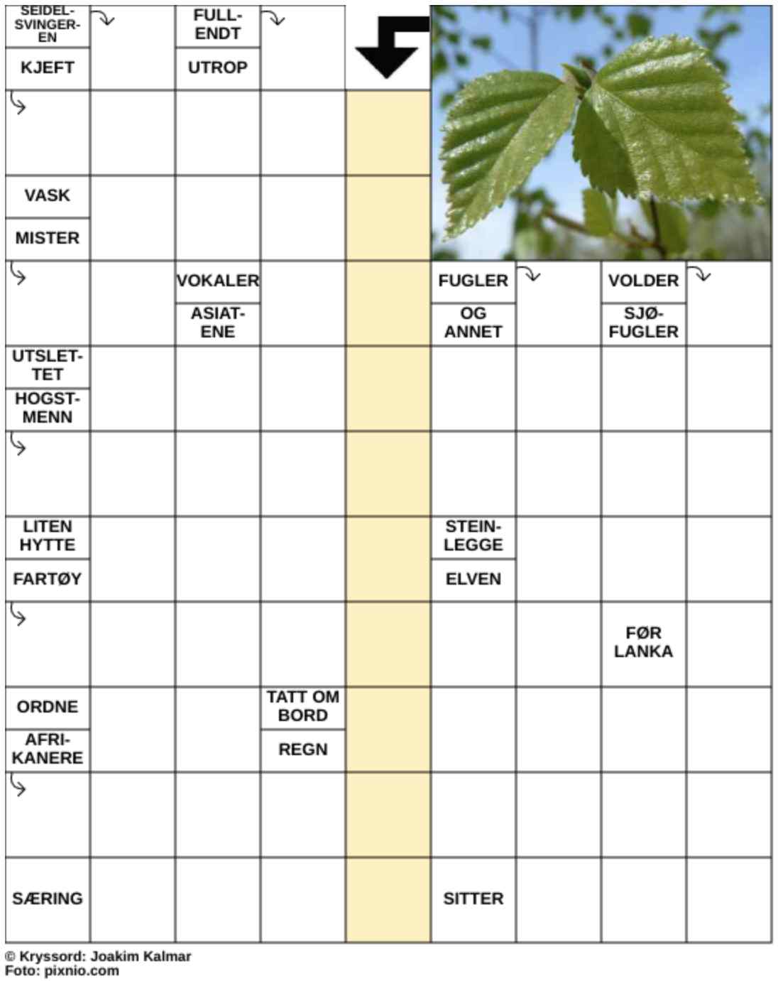 Dagens kryssord – 13. Mars - 2026