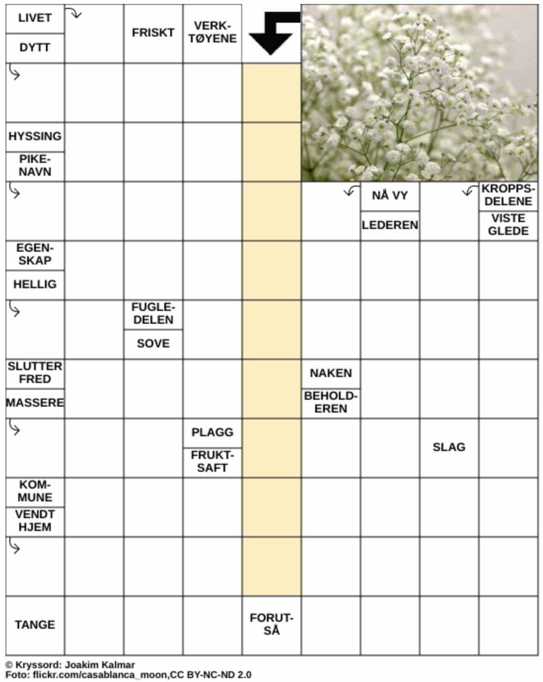 Dagens kryssord – 21. Mars - 2026